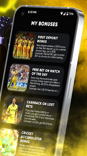 PM Cricket Screenshot 0