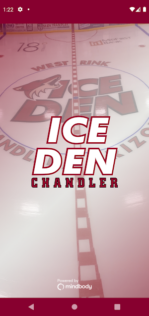 Ice Den Chandler Screenshot 0