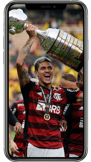 Pedro Flamengo Wallpapers Screenshot 3