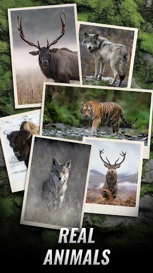 Trophy Hunter – Casual Hunting Screenshot 0