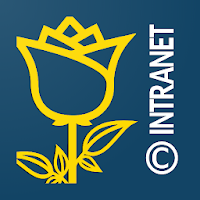 C1ROSE