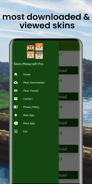 Skins Minecraft Pro Screenshot 1