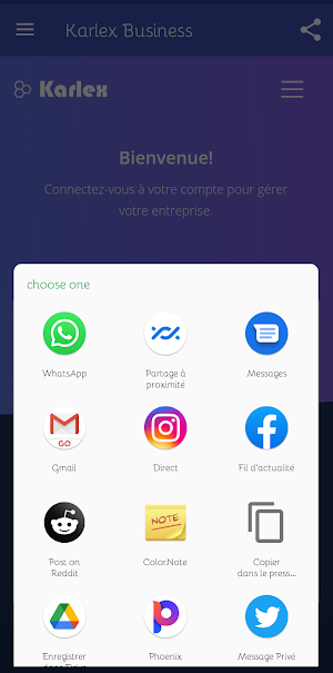 Karlex Business Screenshot 3