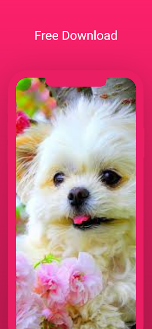 Cute dog wallpapers puppy Screenshot 3