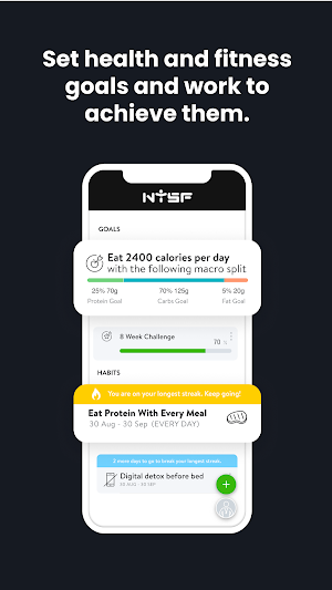 NYSF Screenshot 3