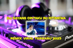 DJ Sayang Cintaku Ini Istimewa Screenshot 0