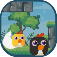 Square Eggs