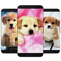 Puppy & Dog Wallpaper HD