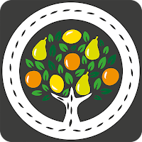 HLD Fruits