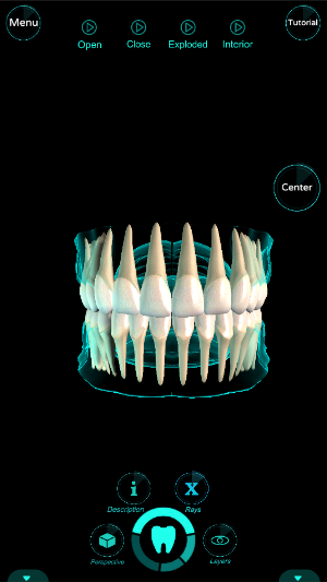 Dental Pro Screenshot 0