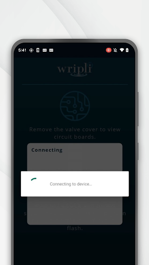 Wripli Connect Screenshot 2