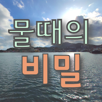 물때의 비밀 (물때표, 바다낚시, 바다날씨, 바다수온, 조석예보)