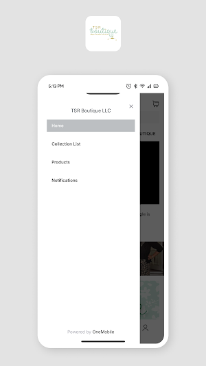TSR Boutique Screenshot 1