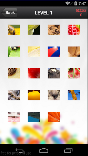 Zoomed-in Screenshot 2