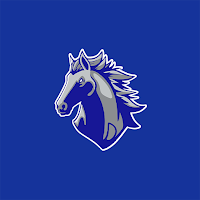 Dobson Mustangs