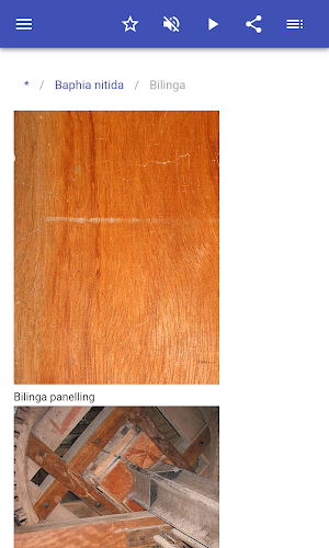 Wood species Screenshot 2