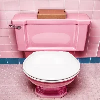 Toilet Flushing Sounds