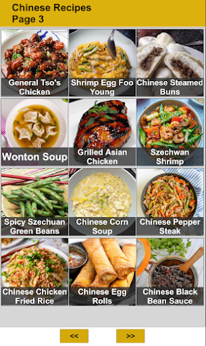 100 Chinese Food Recipes Screenshot 1