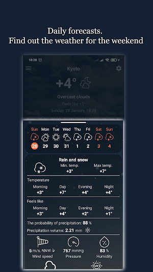Weather Screenshot 2