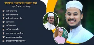 তাফসীরে মারেফুল কুরআন Screenshot 0