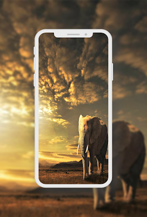 Wildlife Animals Wallpaper Screenshot 1