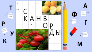 Сканворды легкие без интернета Screenshot 0