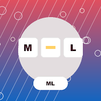 MissingLetter