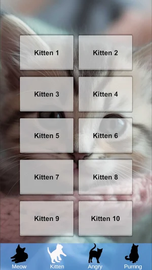 Cat Sounds & Meow Screenshot 1