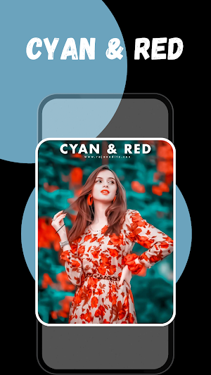 Prism Presets Screenshot 2