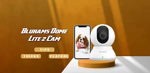 Blurams dome lite 2 cam guide Screenshot 2