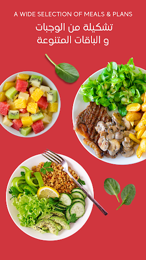 My Healthy Way Screenshot 2