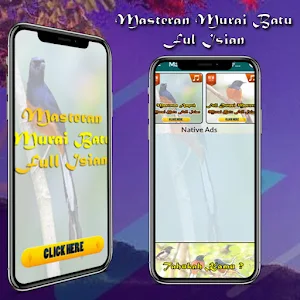 Masteran Murai Batu Full Isian Screenshot 0