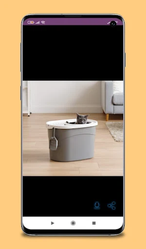 iris entry litter box guide Screenshot 2