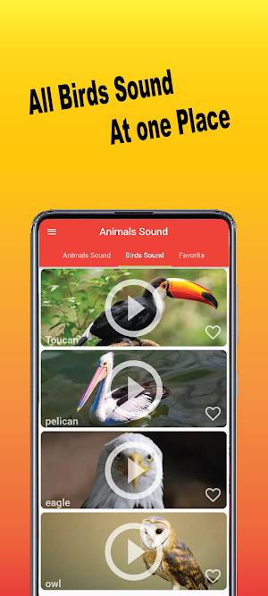 Animal Sound Screenshot 1