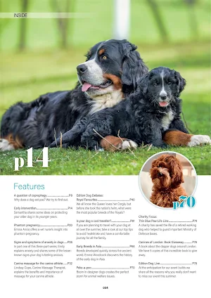 Edition Dog Magazine screenshot 2