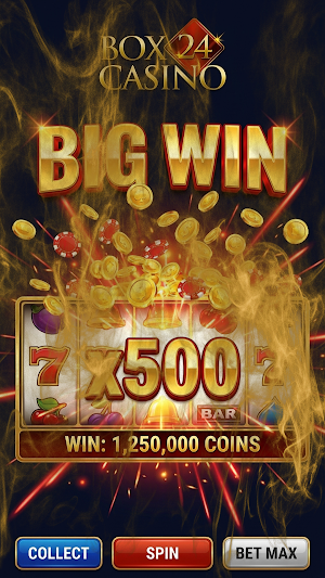 Box 24 Casino Screenshot 2