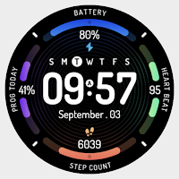 Colorful data: Watch Face