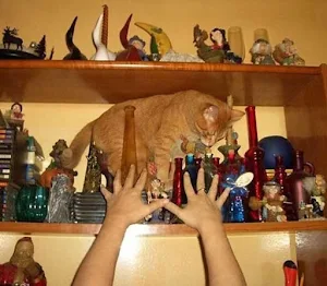 Funny Pics Screenshot 0