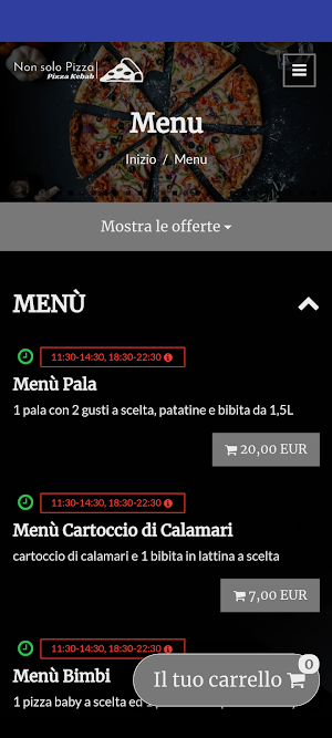 Non Solo Pizza Screenshot 0