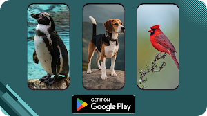 Animal World Screenshot 1