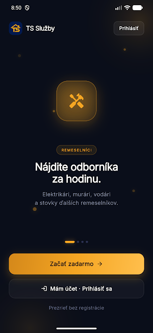 TS Služby Screenshot 0