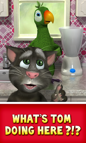 Talking Pierre the Parrot Screenshot 3
