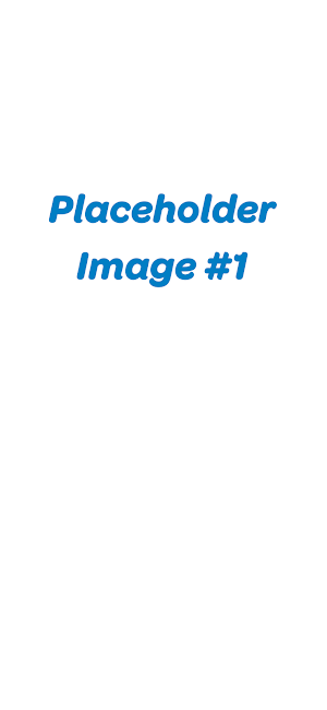 NAA Auctioneer Screenshot 2