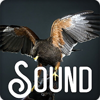 Hawk Soundboard Ringtones