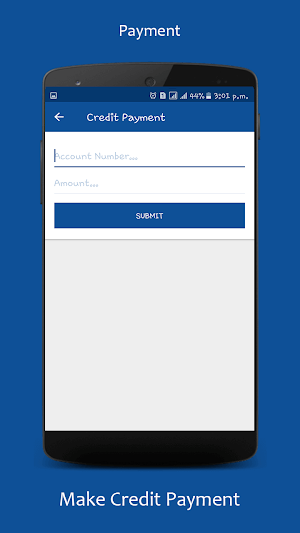 Sinapi Pay Screenshot 1