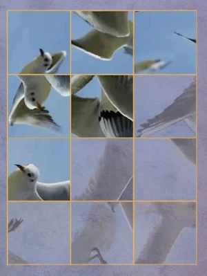 Spin Puzzle Pro Screenshot 3