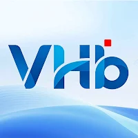 VHB Smart