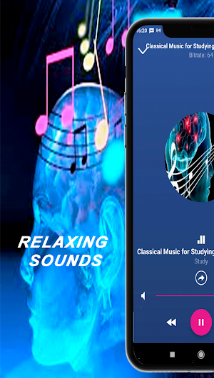 Study Music Concentration Relaxing Sounds App Screenshot 3