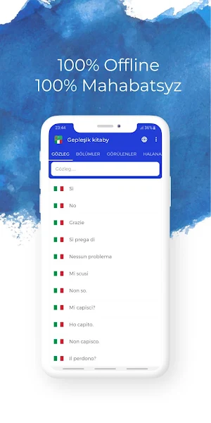 Turkmen-Italian phrasebook Screenshot 1