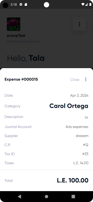 Expenses Scanner by Enerpize Screenshot 3